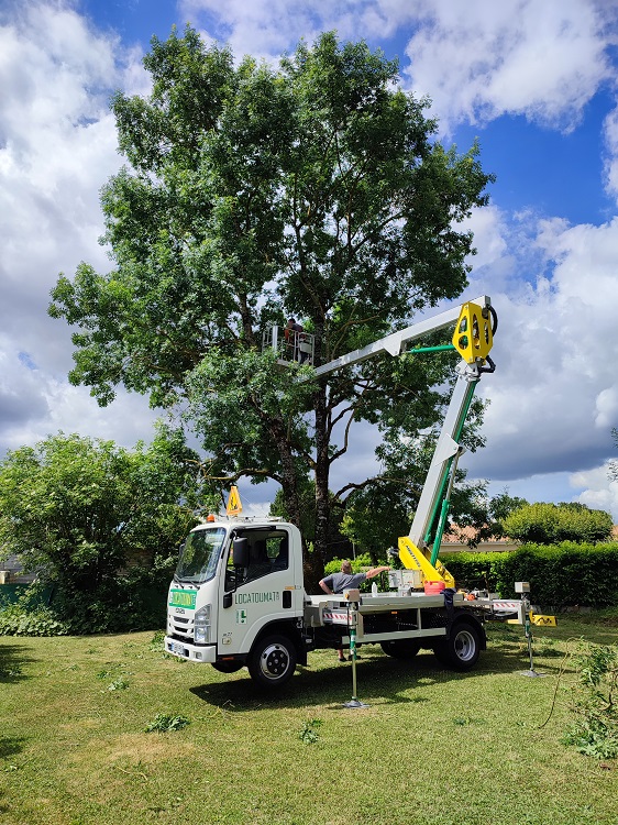  ELAGAGE & TAILLE D'ARBRE